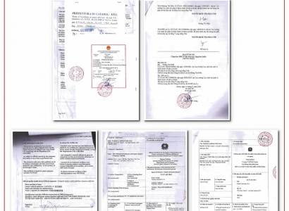 CANXI HỮU CƠ BISKAL VITAL