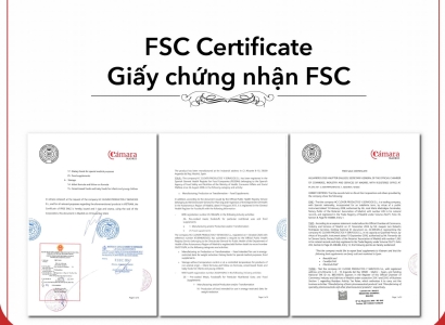 Bảo Vệ Sức Khỏe MOMTIVIT DHA